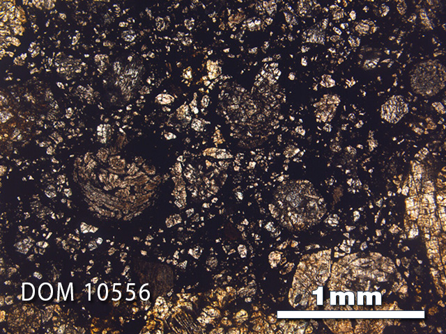 Thin Section Photo of Sample DOM 10556 in Plane-Polarized Light with 2.5x Magnification