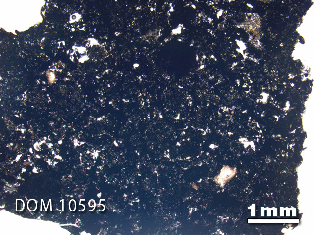 Thin Section Photo of Sample DOM 10595 in Plane-Polarized Light with 1.25X Magnification