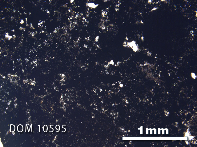 Thin Section Photo of Sample DOM 10595 in Plane-Polarized Light with 2.5X Magnification