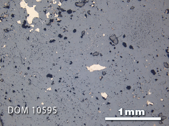 Thin Section Photo of Sample DOM 10595 in Reflected Light with 2.5X Magnification