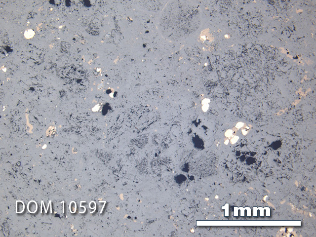 Thin Section Photo of Sample DOM 10597 in Reflected Light with 2.5X Magnification