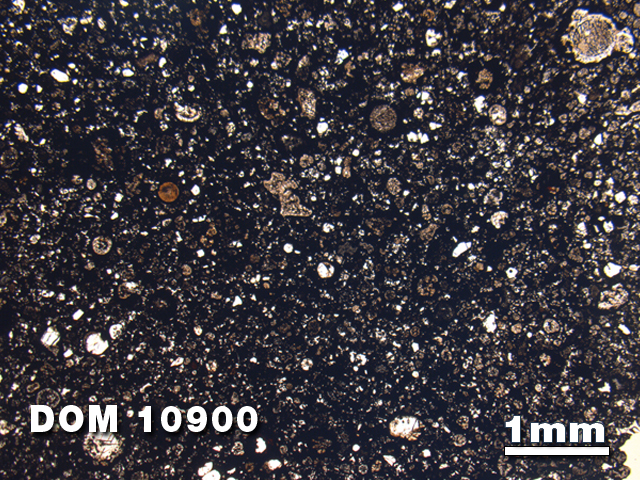 Thin Section Photo of Sample DOM 10900 at 1.25X Magnification in Plane-Polarized Light