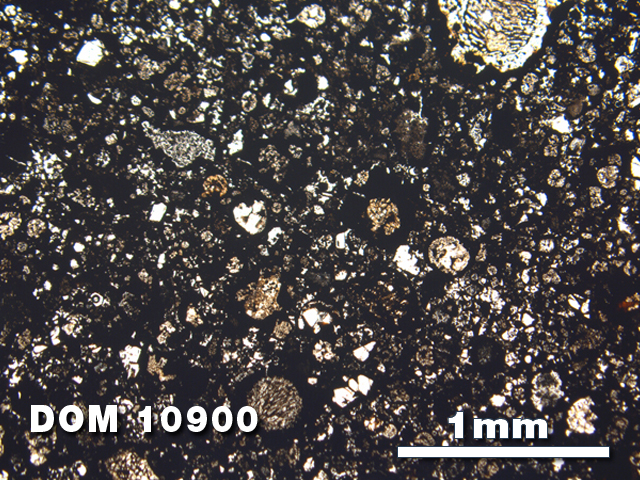 Thin Section Photo of Sample DOM 10900 at 2.5X Magnification in Plane-Polarized Light