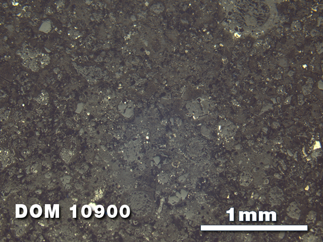 Thin Section Photo of Sample DOM 10900 at 2.5X Magnification in Reflected Light