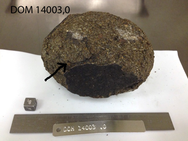 Lab Photo of Sample DOM 14003 Displaying South Top Orientation