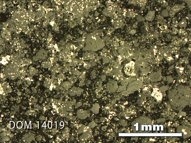 Thin Section Photo of Sample DOM 14019 in Reflected Light with 2.5X Magnification