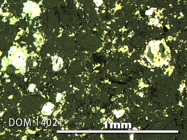 Thin Section Photo of Sample DOM 14021 in Reflected Light with 5X Magnification