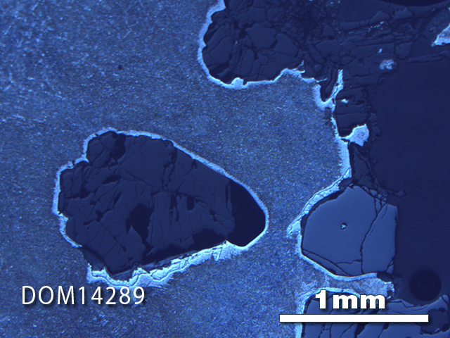 Thin Section Photo of Sample DOM 14289 in Reflected Light with 2.5X Magnification