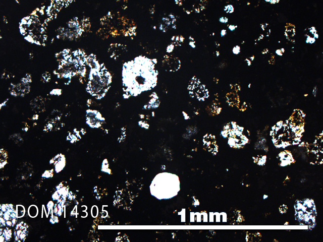 Thin Section Photo of Sample DOM 14305 in Plane-Polarized Light with 5X Magnification