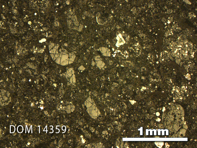 Thin Section Photo of Sample DOM 14359 in Reflected Light with 2.5X Magnification
