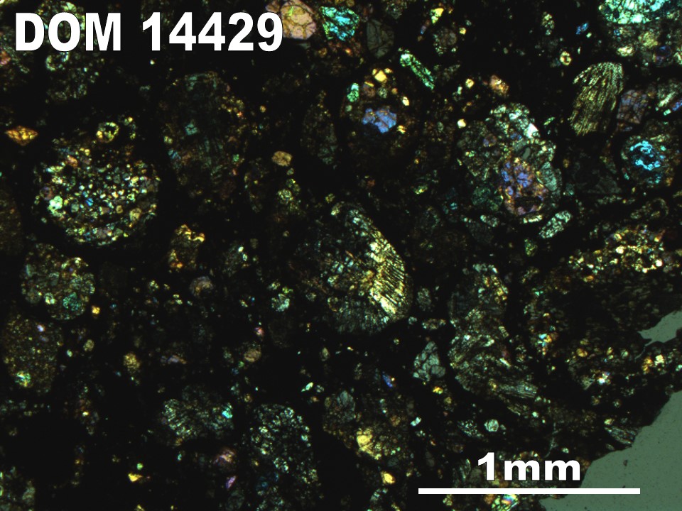 Thin Section Photo of Sample DOM 14429 in Cross-Polarized Light with 2.5X Magnification