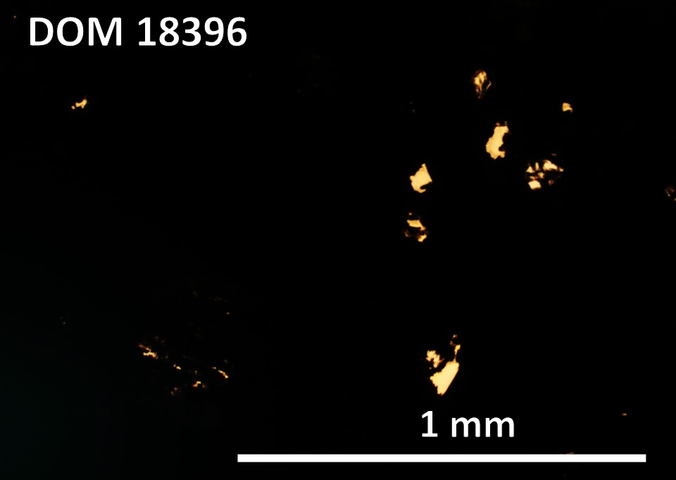 Thin Section Photo of Sample DOM 18396,2 at 5x magnification in Plane Polarized Light