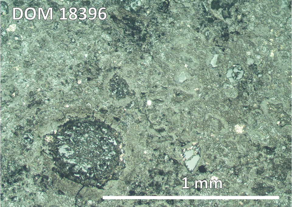 Thin Section Photo of Sample DOM 18396,2 at 5x magnification in Reflected Light