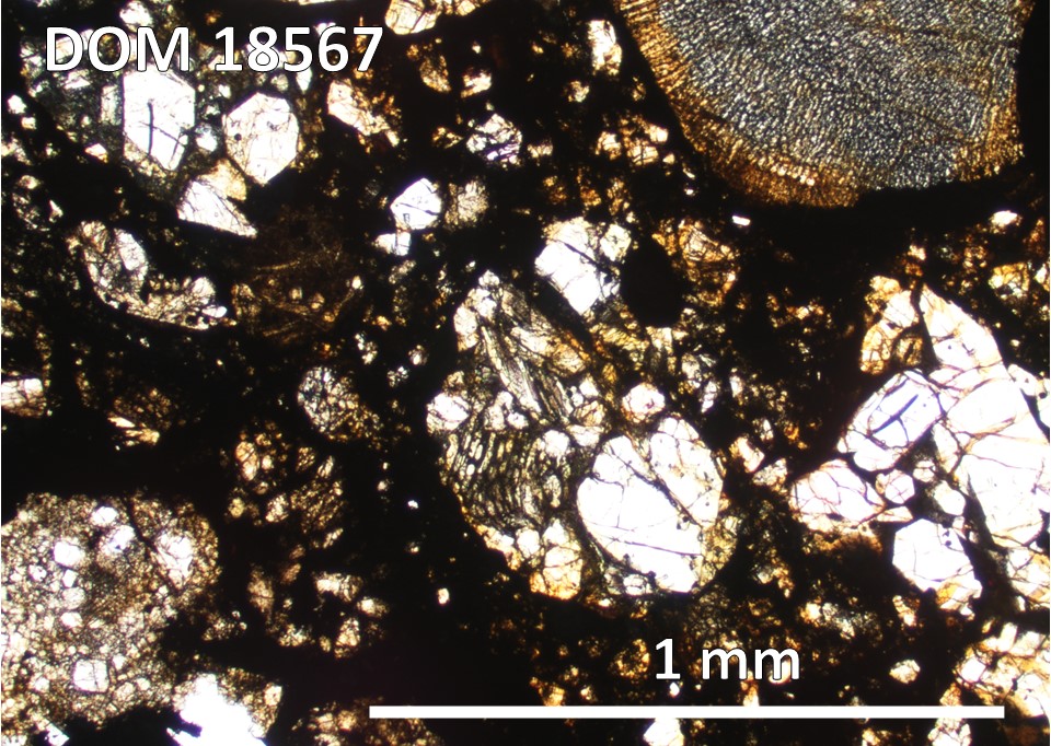 Thin Section Photo of Sample DOM 18567,2 at 5x magnification in Plane Polarized Light