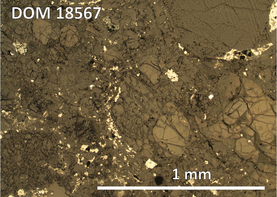 Thin Section Photo of Sample DOM 18567,2 at 5x magnification in Reflected Light