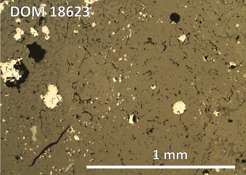 Thin Section Photo of Sample DOM 18623,2 at 5x magnification in Reflected Light