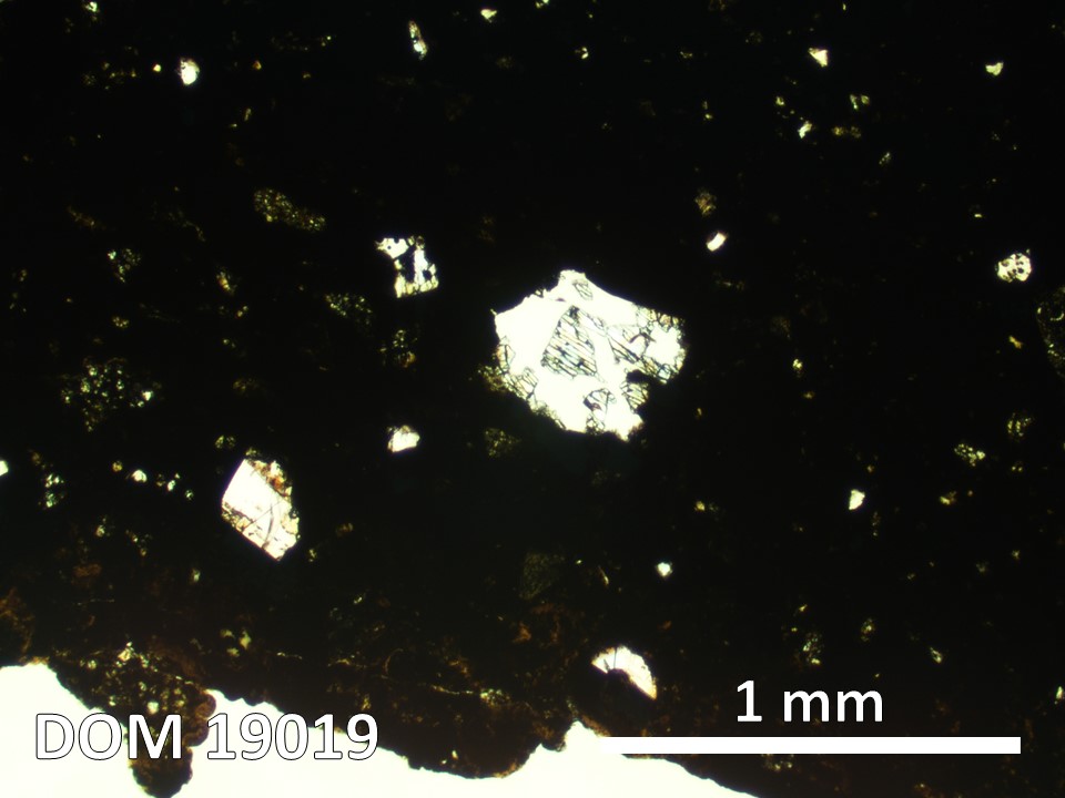 Thin Section Photo of Sample DOM 19019 in Plane-Polarized Light with 2.5X Magnification