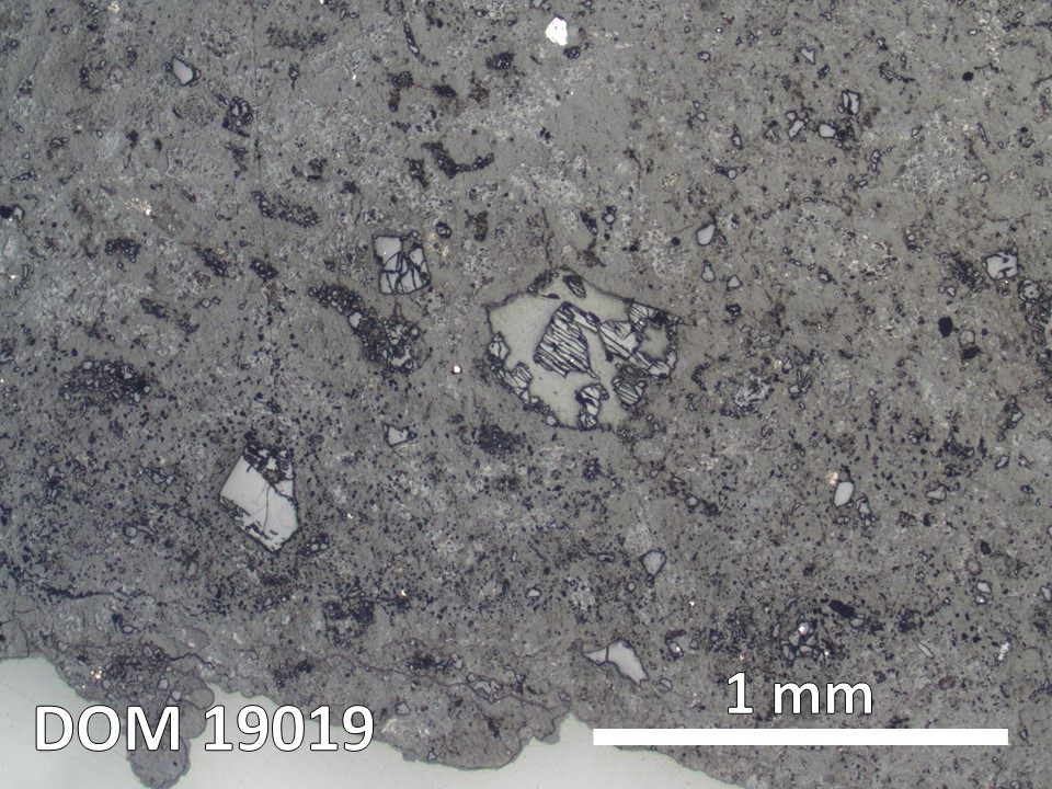 Thin Section Photo of Sample DOM 19019 in Reflected Light with 2.5X Magnification