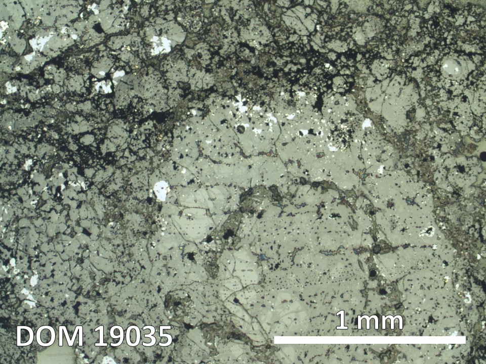 Thin Section Photo of Sample DOM 19035 in Reflected Light with 2.5X Magnification