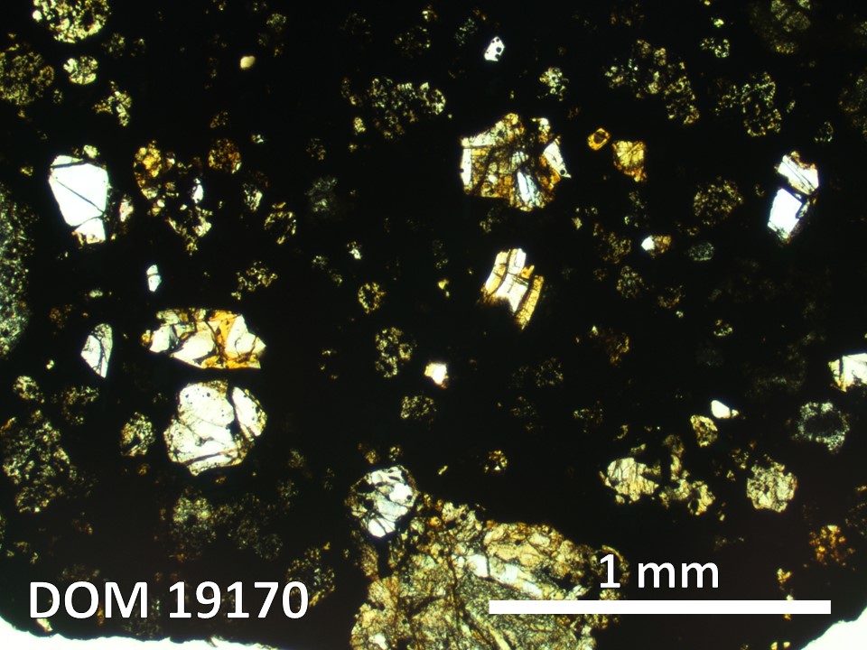 Thin Section Photo of Sample DOM 19170 in Plane-Polarized Light with 2.5X Magnification