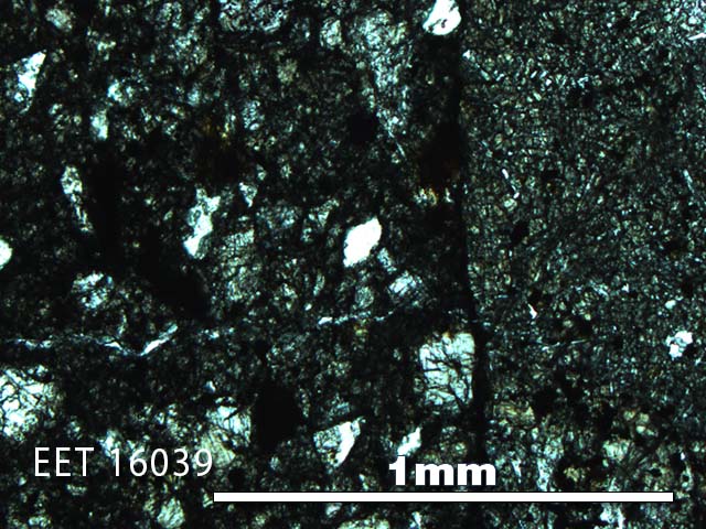 Thin Section Photo of Sample EET 16039 in Plane-Polarized Light with 5X Magnification