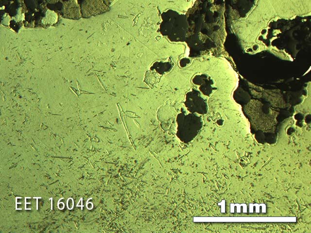 Thin Section Photo of Sample EET 16046 in Reflected Light with 2.5X Magnification