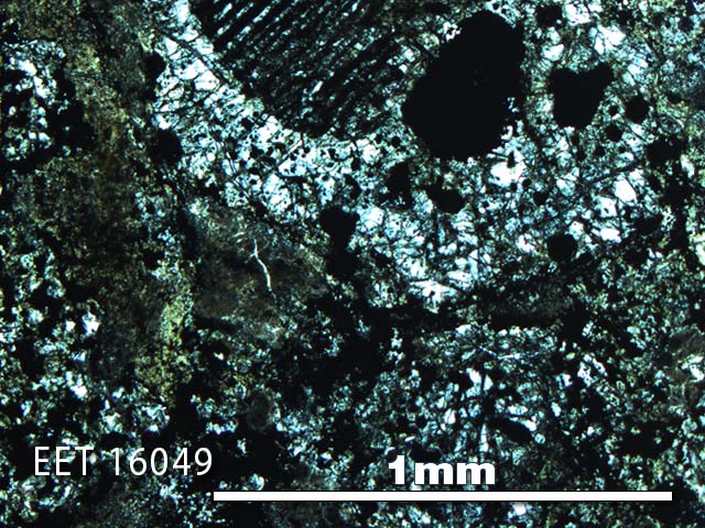 Thin Section Photo of Sample EET 16049 in Plane-Polarized Light with 5X Magnification