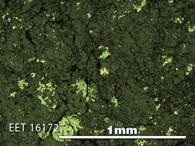 Thin Section Photo of Sample EET 16172 in Reflected Light with 5X Magnification
