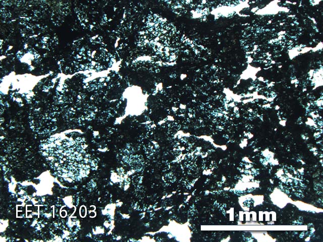 Thin Section Photo of Sample EET 16203 in Plane-Polarized Light with 2.5X Magnification