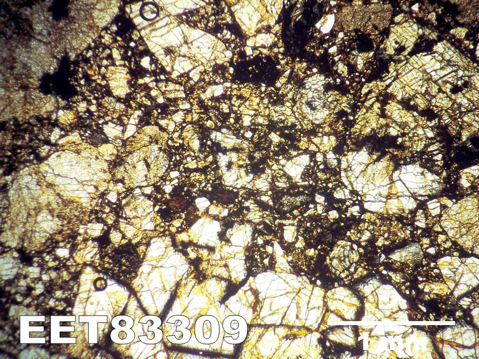 Thin Section Photograph of Sample EET 83309 in Plane-Polarized Light