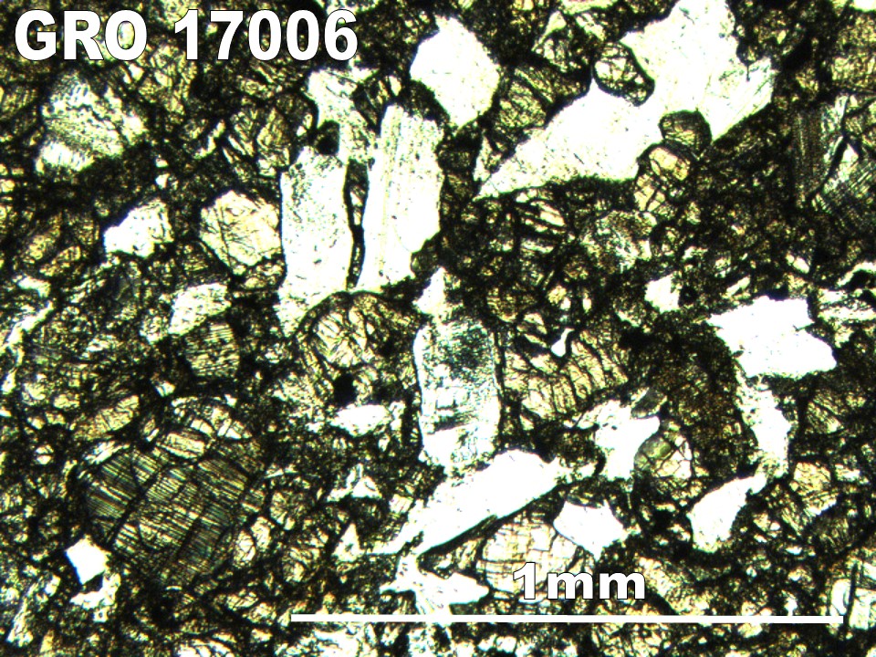 Thin Section Photo of Sample GRO 17006 in Plane-Polarized Light with 5X Magnification