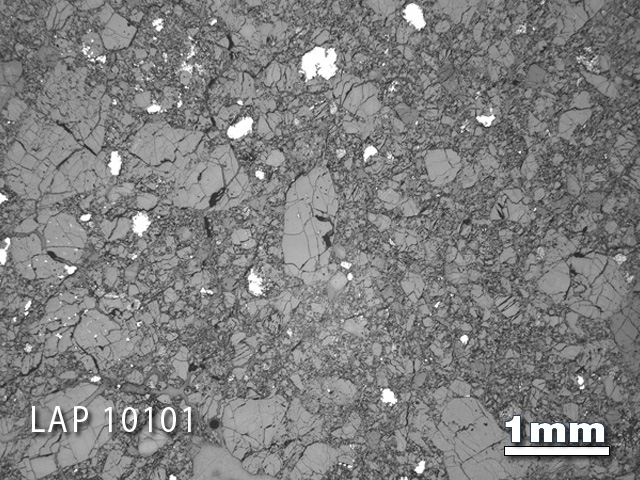 Thin Section Photograph of Sample LAP 10101 in Reflected Light