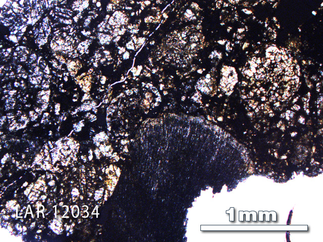 Thin Section Photo of Sample LAR 12034 in Plane-Polarized Light with 2.5X Magnification