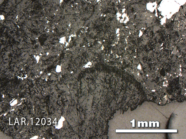 Thin Section Photo of Sample LAR 12034 in Reflected Light with 2.5X Magnification