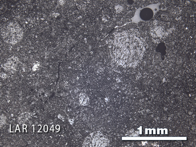 Thin Section Photograph of Sample LAR 12049 in Reflected Light