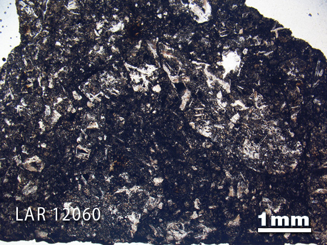 Thin Section Photograph of Sample LAR 12060 in Plane-Polarized Light