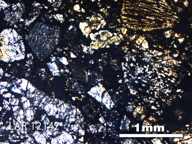 Thin Section Photo of Sample LAR 12142 in Plane-Polarized Light with 2.5X Magnification
