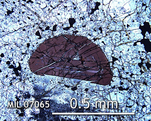 Thin Section Photo of Sample MIL 07065 in Plane-Polarized Light with 10x Magnification Showing Spinel