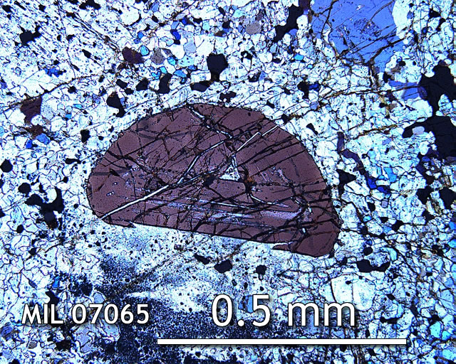 Thin Section Photo of Sample MIL 07065 in Cross-Polarized Light with 10x Magnification