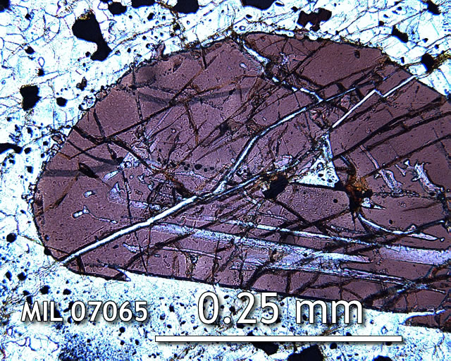 Thin Section Photo of Sample MIL 07065 in Plane-Polarized Light with 20x Magnification Showing Spinel