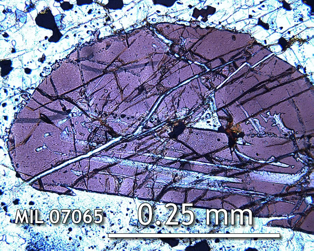 Thin Section Photo of Sample MIL 07065 in Cross-Polarized Light with 20x Magnification