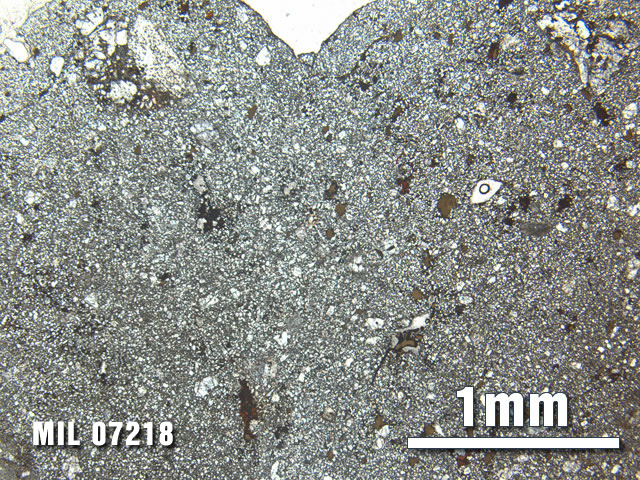 Thin Section Photo of Sample MIL 07218 at 2.5X Magnification in Plane-Polarized Light