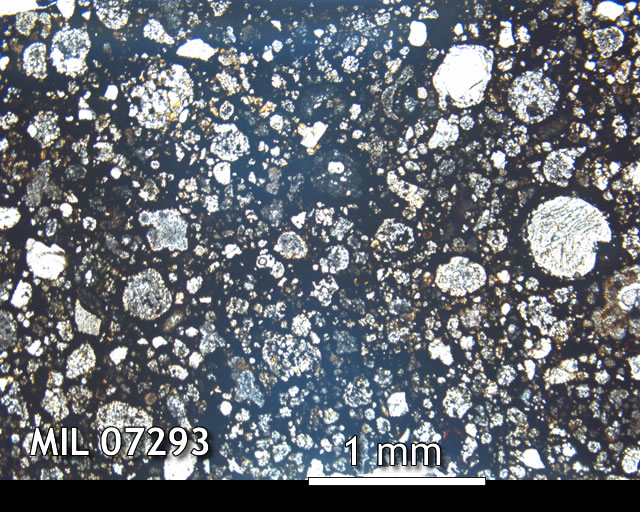 Thin Section Photo of Sample MIL 07293 in Plane-Polarized Light with 2.5x Magnification