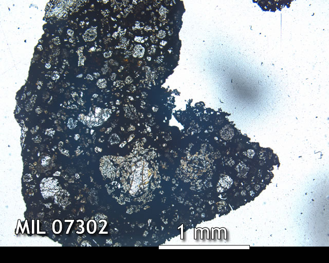 Thin Section Photo of Sample MIL 07302 in Plane-Polarized Light with 2.5x Magnification
