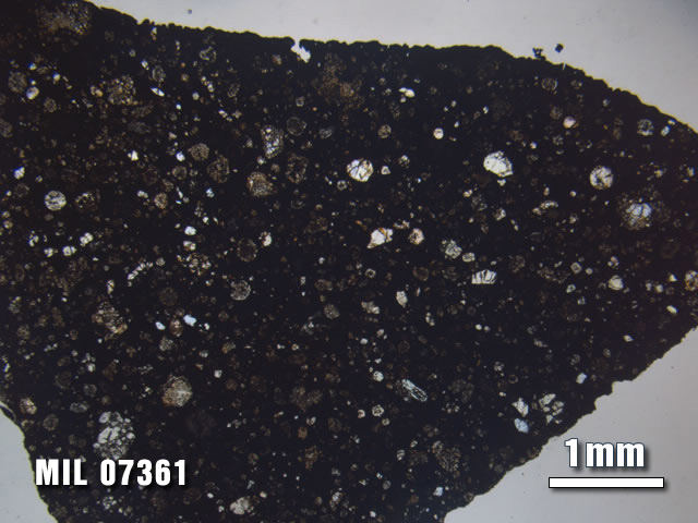 Thin Section Photo of Sample MIL 07361 at 1.25X Magnification in Plane-Polarized Light
