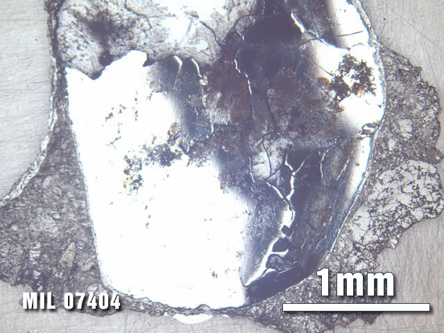 Thin Section Photo of Sample MIL 07404 at 2.5X Magnification in Reflected Light