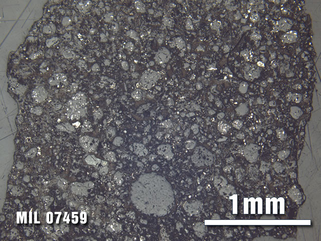 Thin Section Photo of Sample MIL 07459 at 2.5X Magnification in Reflected Light
