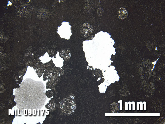 Thin Section Photo of Sample MIL 090175 at 2.5X Magnification in Plane-Polarized Light