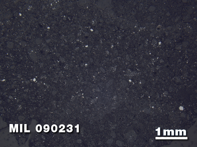 Thin Section Photo of Sample MIL 090231 in Reflected Light with 1.25X Magnification