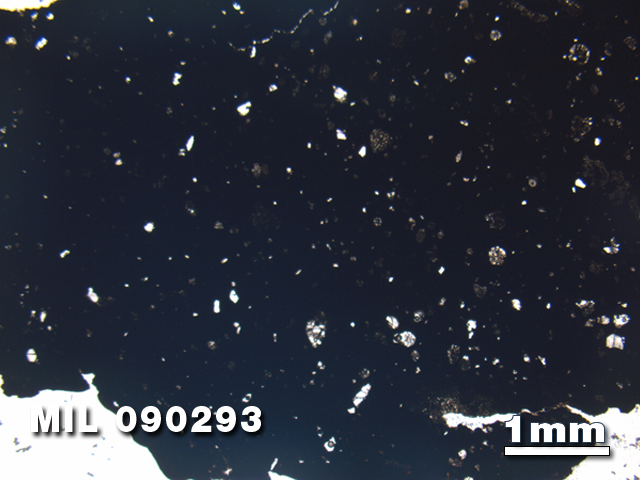 Thin Section Photo of Sample MIL 090293 in Plane-Polarized Light with 1.25X Magnification